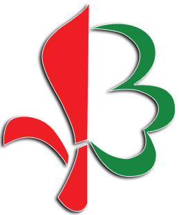 Logo Scout Mendrisio